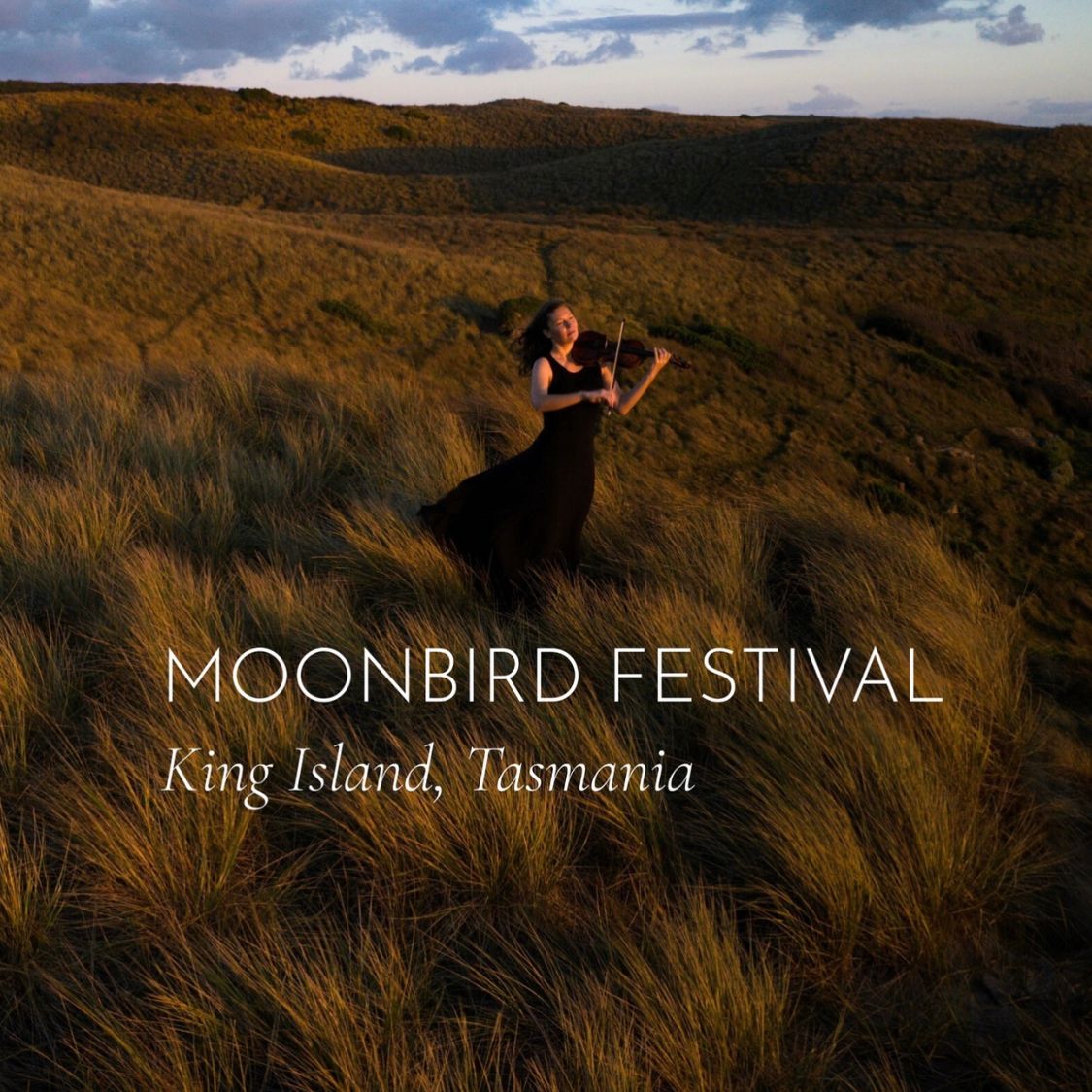 Moonbird Festival