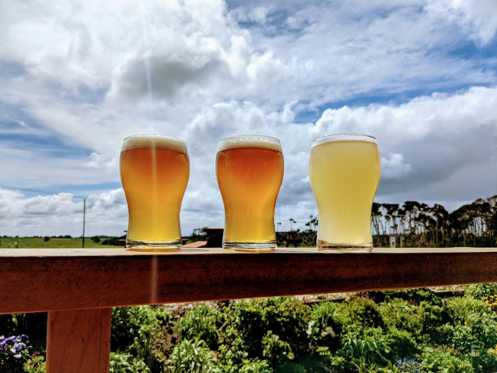 Three beer flight glasses on a timber rail at King Island Brewhouse, with green paddocks in the background