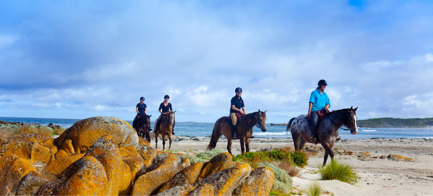 King Island Tourism Experience Our Reality Visit Our Island